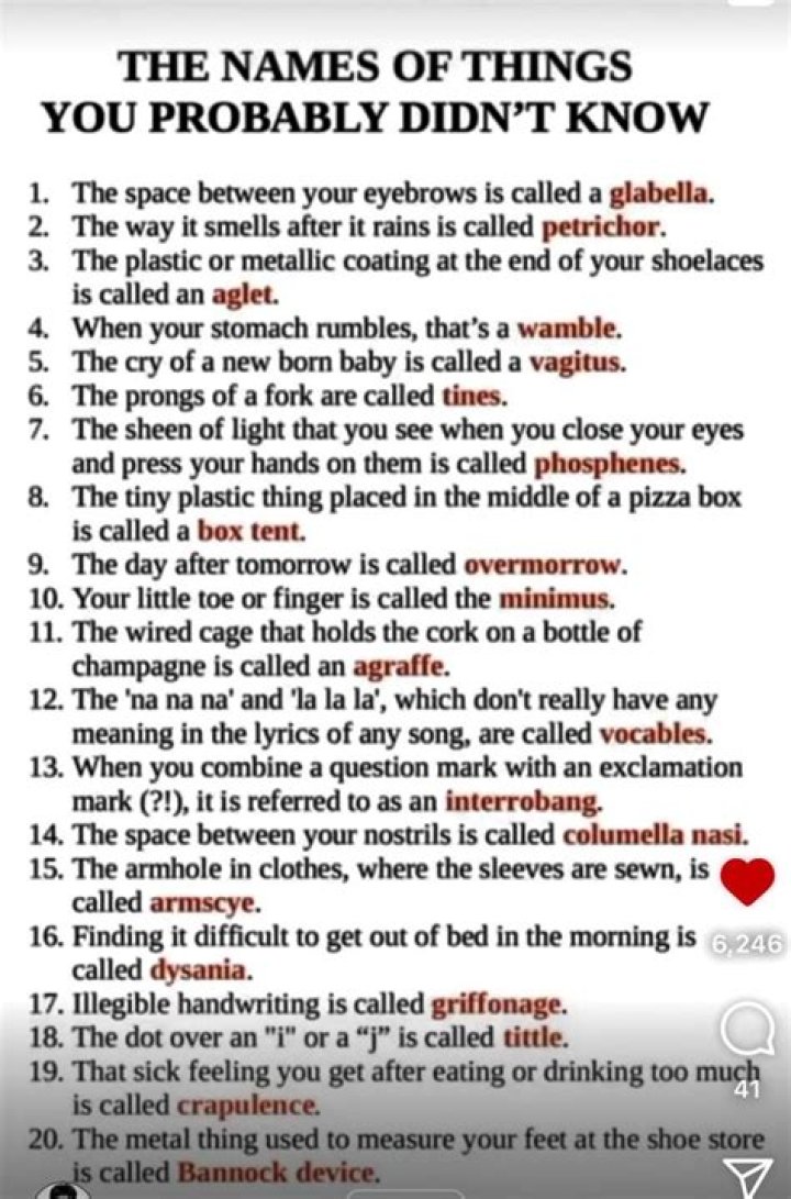 10 Things You Probably Didn’t Know About Kurt Darren