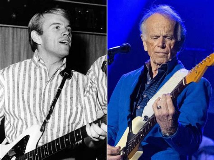 Al Jardine (Guitarist) - Age, Birthday, Bio, Facts, Family, Net Worth, Height & More