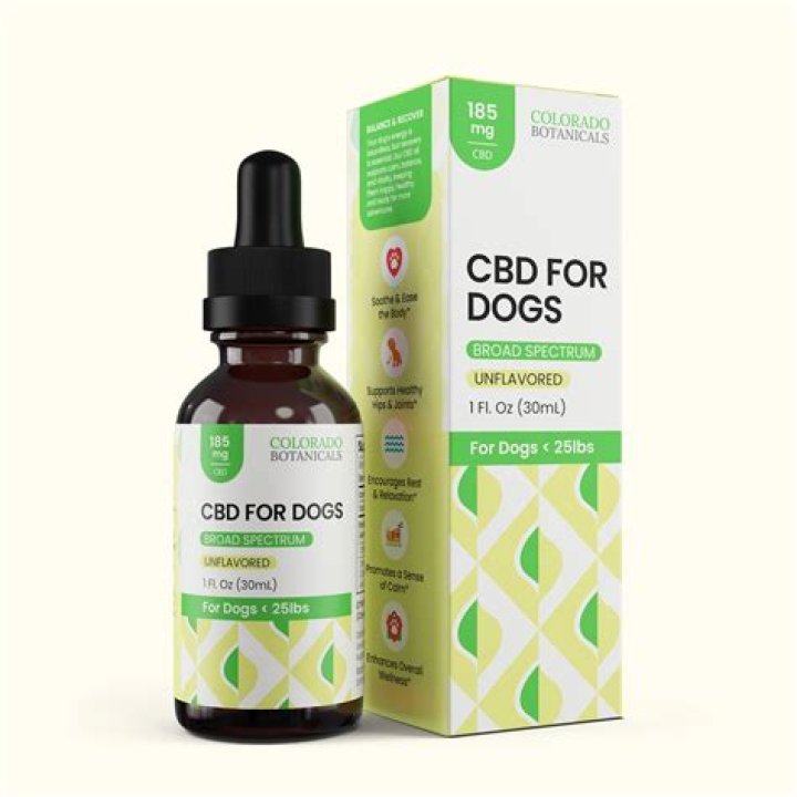 Best CBD for Dogs and Cats: 5 CBD Pet Products in 2024
