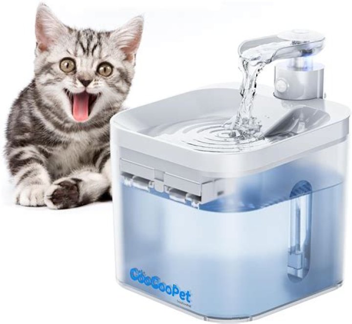 Can I bleach my cats water fountain?