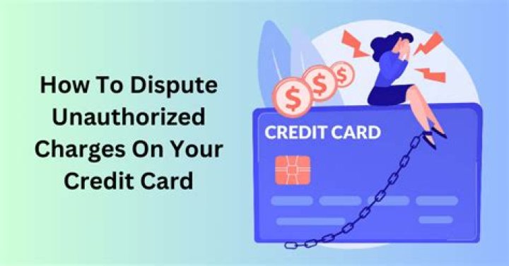 Can I sue for unauthorized credit card charges?
