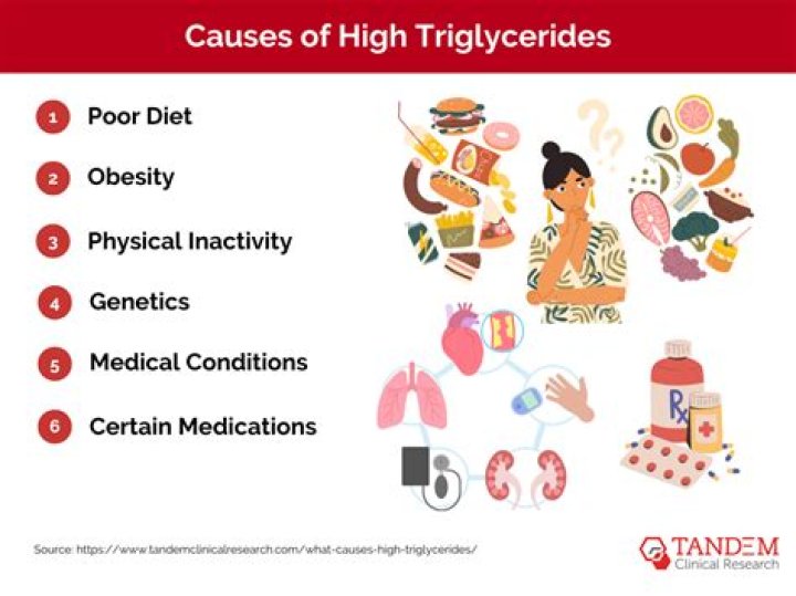 Can liver damage cause high triglycerides?