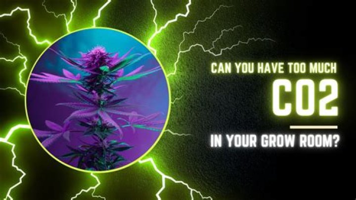 Can you have too much CO2 in your grow room?