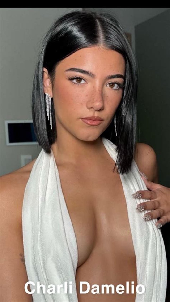 Charli D’Amelio Is TikTok’s Most Prominent Star! Learn About Her Family, Love Life and More