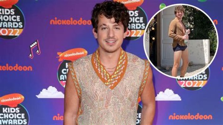 Charlie Puth Flaunted His Boxers While Shirtless in a NSFW Instagram Post: See Photos