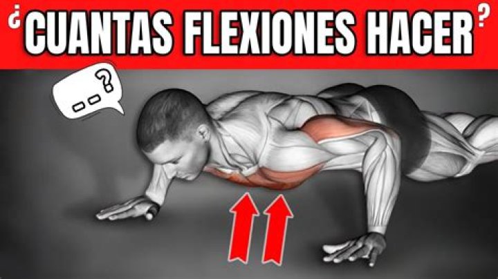 ¿Cuántas flexiones con un dedo podría hacer Bruce Lee? – Celebrity.fm