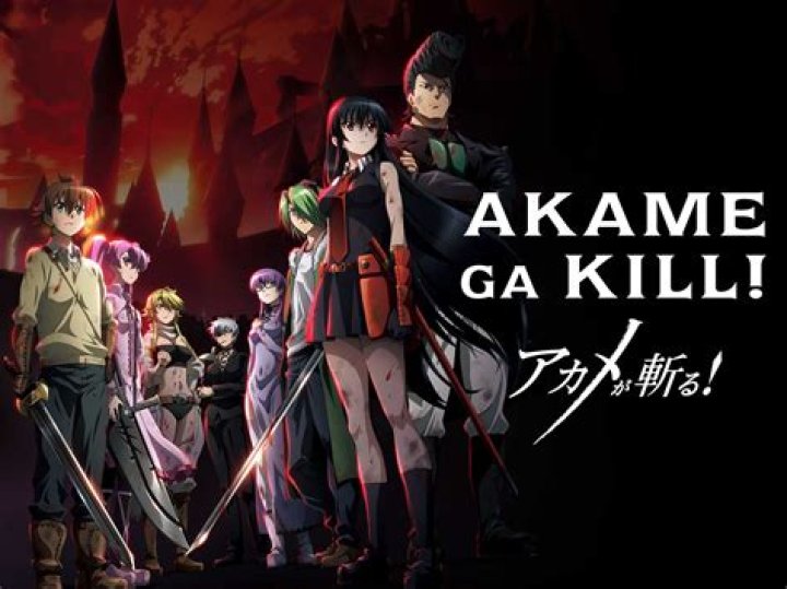 ¿Cuántas temporadas son de Akame ga Kill? – Celebrity.fm