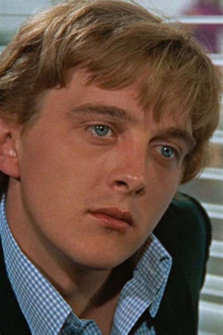 David Hemmings Biography, Age, Height, Wife, Net Worth, Family