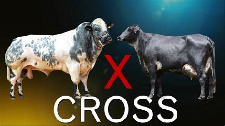 Do animals naturally crossbreed?
