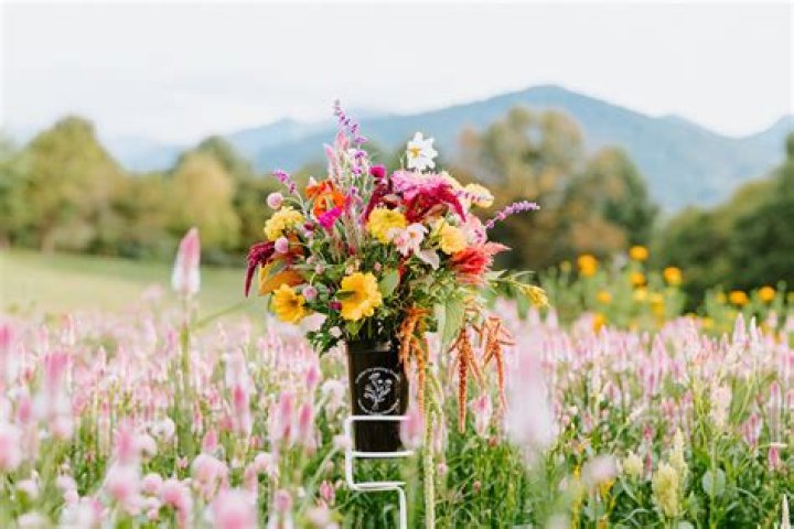 Do flowers scream when you pick them?