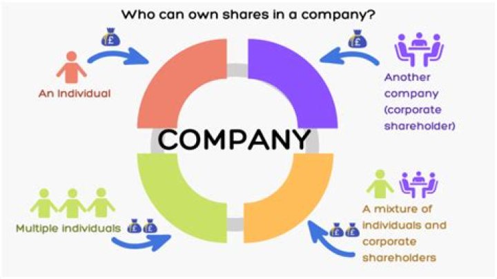 Do shareholders have the right to manage a company?