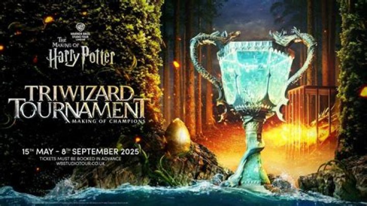 Does Harry win the Triwizard Tournament? – Celebrity.fm – #1 Official Stars, Business & People Network, Wiki, Success story, Biography & Quotes