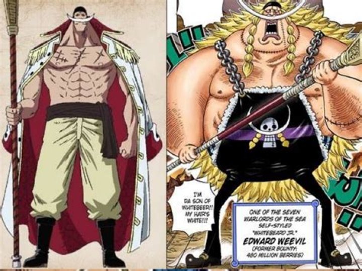 Does Whitebeard have a son?