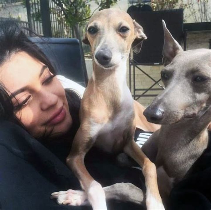 Dog Lover! Meet Kylie Jenner’s Five Italian Greyhounds Norman, Bambi, Rosy, Harley and Kevin