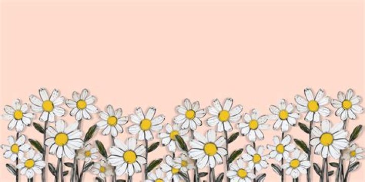 Haim Yehezkel Net Worth, Wife Age, Wikipedia & Net Worth