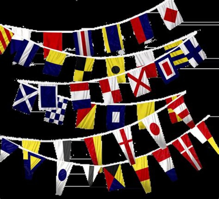 Hangi ülkenin IQ'su en yüksek?