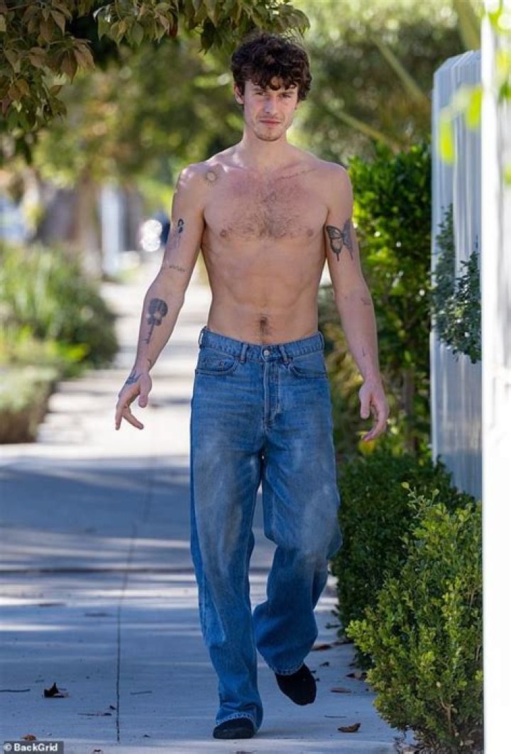 Hi, Hello — Just a Bunch of Pics of Shawn Mendes Walking Around Australia Shirtless (You’re Welcome)