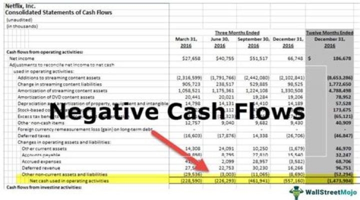How can a company with net profit show a negative cash flow?