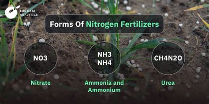 How can I add nitrogen to my soil naturally?