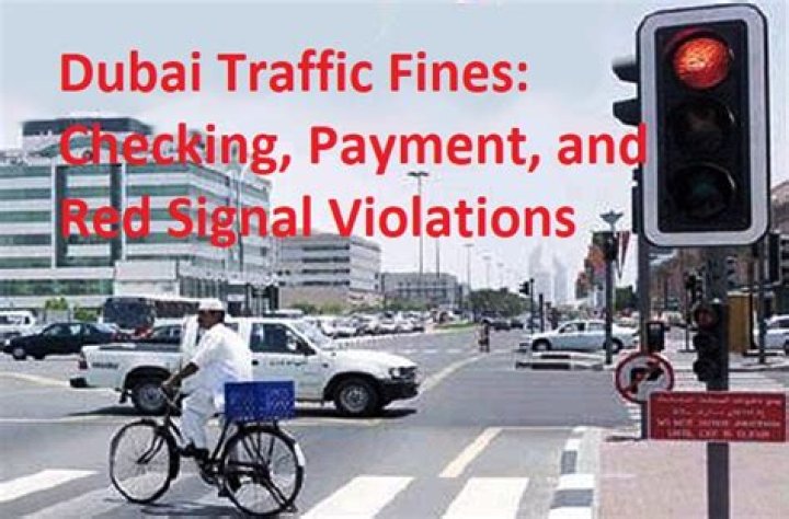 How can I check my road crossing fine in Dubai?
