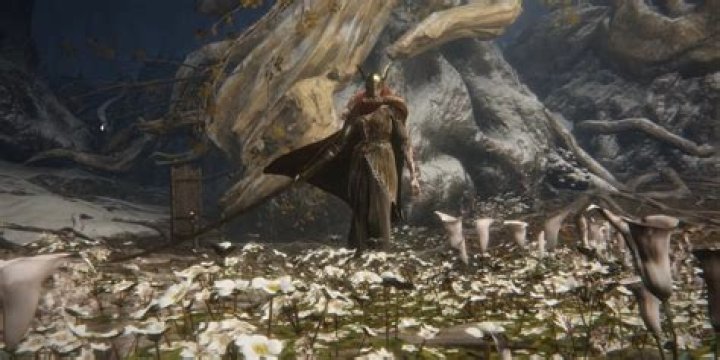 How do I beat Malenia Elden Ring?