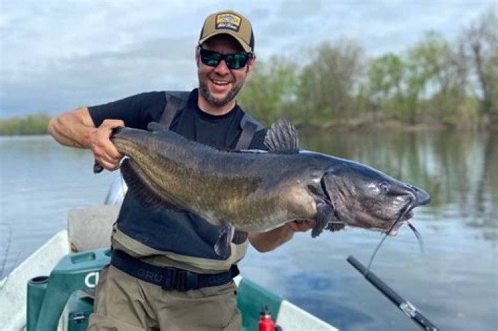 How do you catch big catfish during the day?