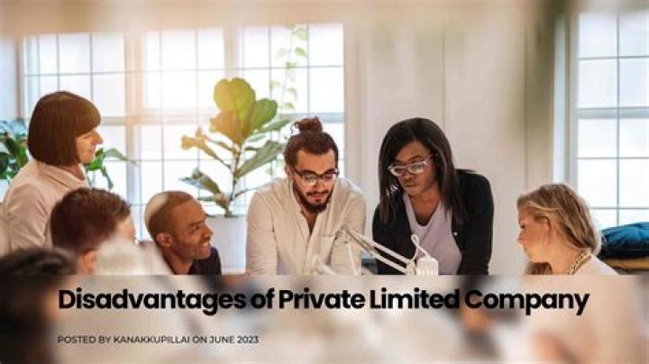 How do you describe a private limited company?