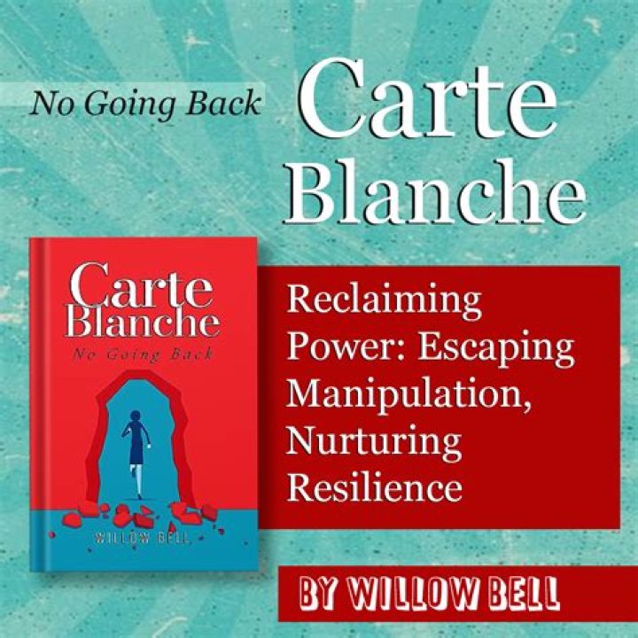 How do you use carte blanche in a sentence?