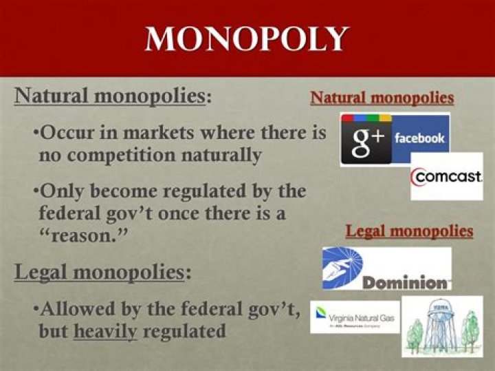 How does the government regulate monopolies?