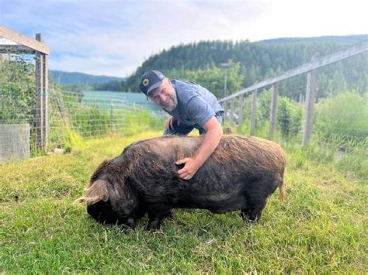 How expensive is Beskar?