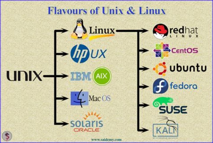How is Linux used in companies?