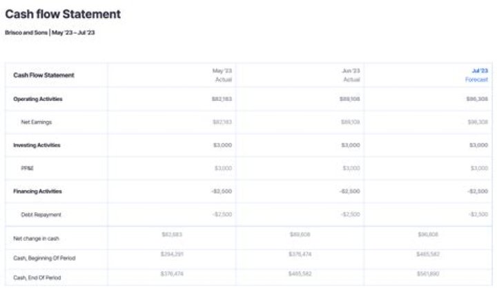 How is the cash flow statement different from the income statement?