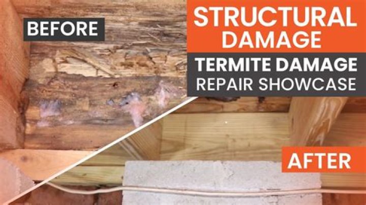 How long before termites cause structural damage?