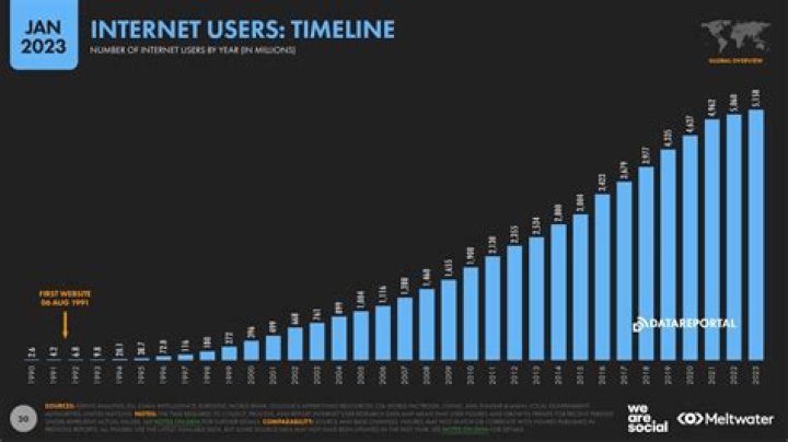 How many online users are there in the world?