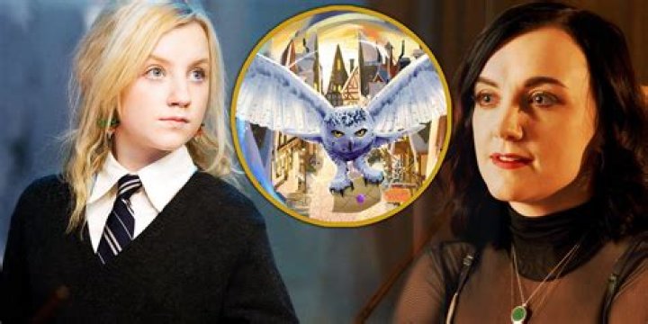 How much did Evanna Lynch make from Harry Potter?