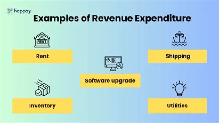 How revenue expenditure is treated in the financial statements of a business?