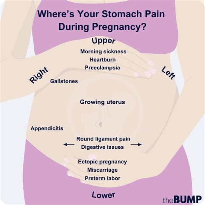 How soon does your stomach get hard when pregnant?