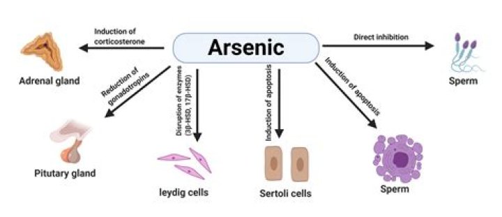 Is arsenic expensive?