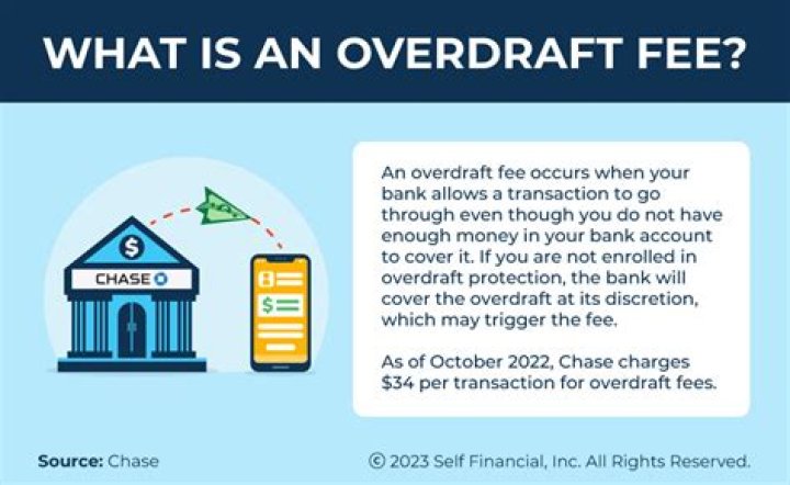 Is bank overdraft an asset?