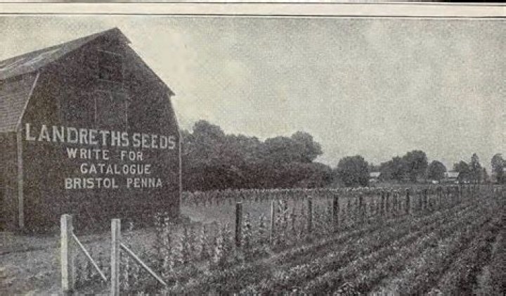 Is Landreth seed company still in business?