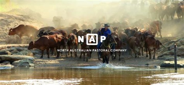 Is NAPCo Australian owned?