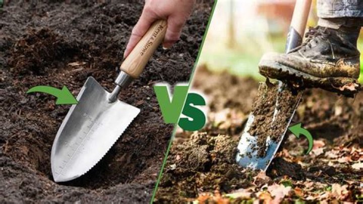 Is shavel and quaylon still together?