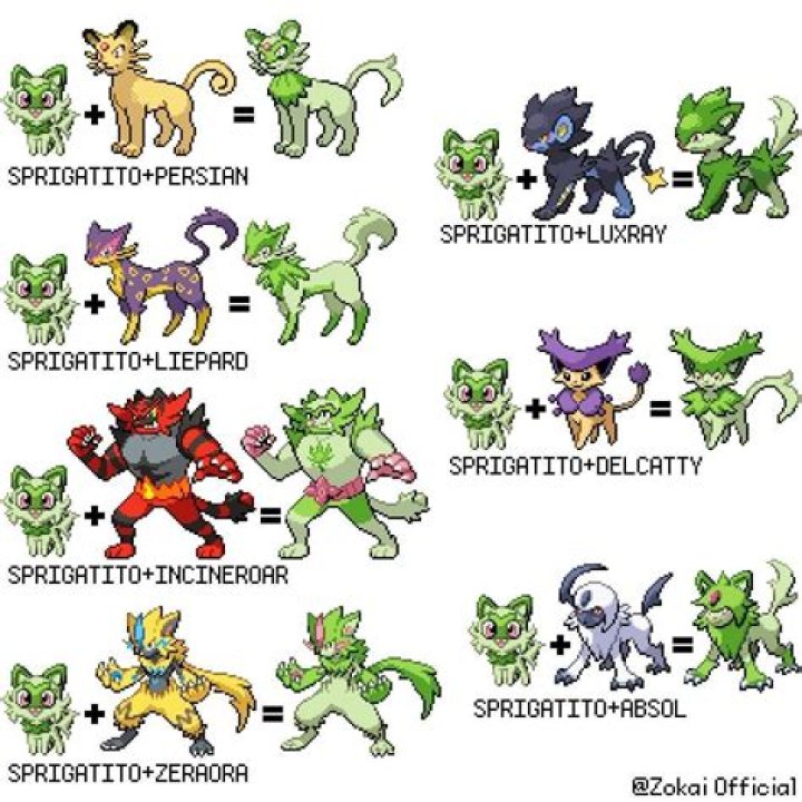 Is there a black cat Pokémon?