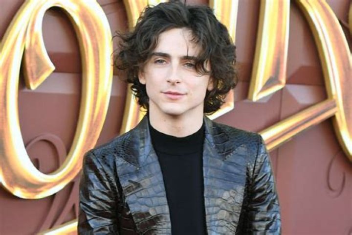 Is Timothee Chalamet Gay In Real? Gender Sexuality And Surgery