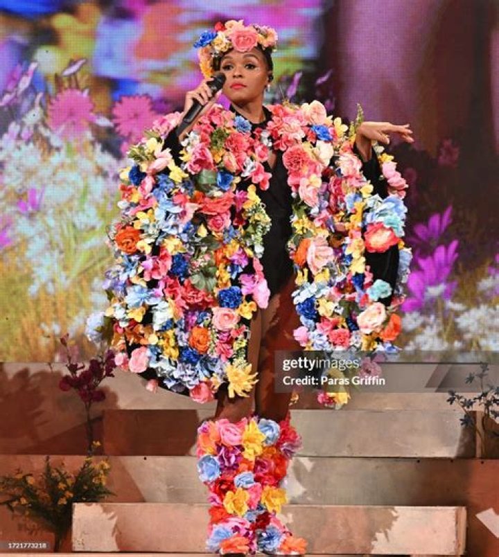 Janelle Monae Flashes Fans Again As "The Age of Pleasure" Tour Concludes