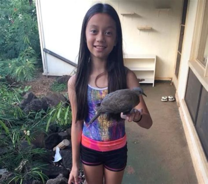 O Havaí já tem neve? – Celebrity.fm