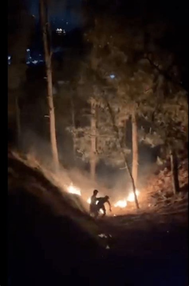 Pakistani TikTokers Have Allegedly Started Forest Fires For Their Videos