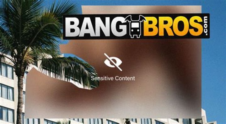 Porn Company BangBros Purchases PornWikiLeaks & Wipes Site Clean