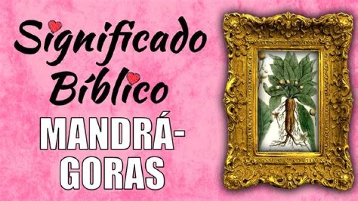¿Qué significa la palabra mandrágora en la Biblia?