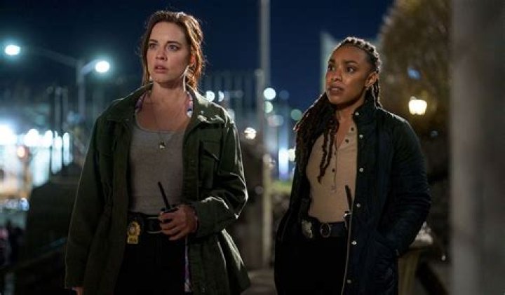 ¿Quién es gay en la ley y el orden? – Celebrity.fm